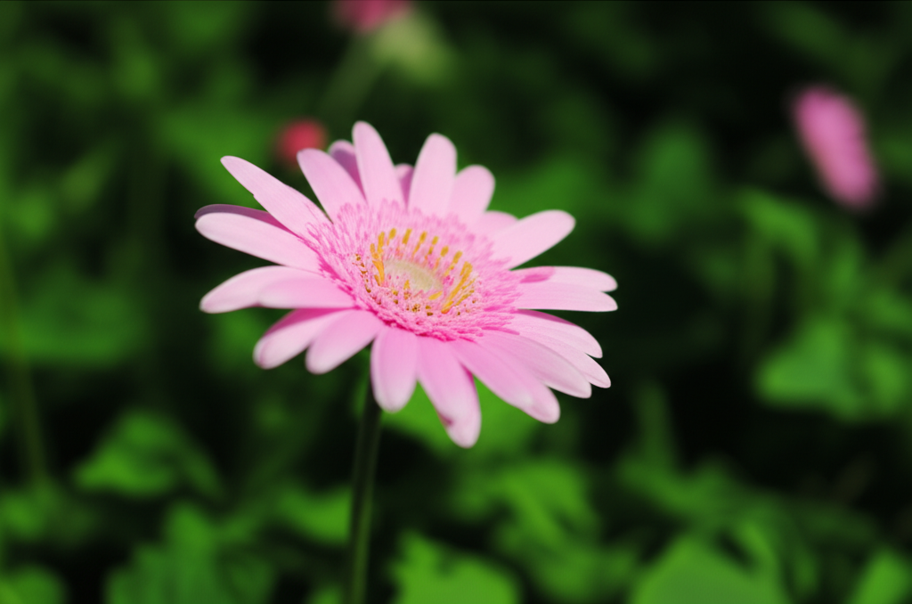 섹션 4 이미지